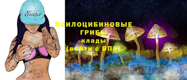 apvp Балахна