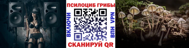 KRAKEN как войти  Нерюнгри  Псилоцибиновые грибы GOLDEN TEACHER 