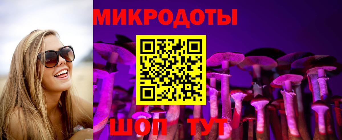 Нерюнгри  Псилоцибиновые грибы Cubensis  где продают   Вход с VPN  Галлюциногенные грибы Psilocybine cubensis 